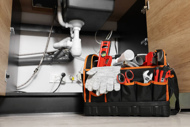 Best Clogged Drain Plumber  in Rich Hill, MO