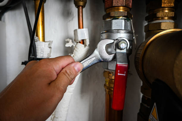 Best Best Plumbers Near Me  in Rich Hill, MO